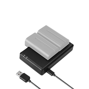 HL-DC01-Dual-Slot-Charger